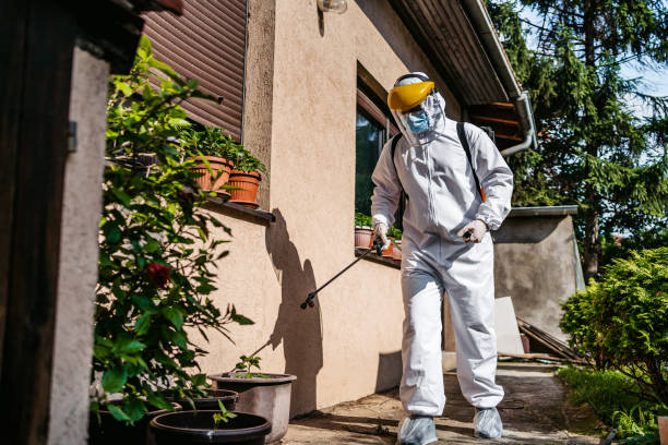 Best Local Pest Control Services  in Atglen, PA