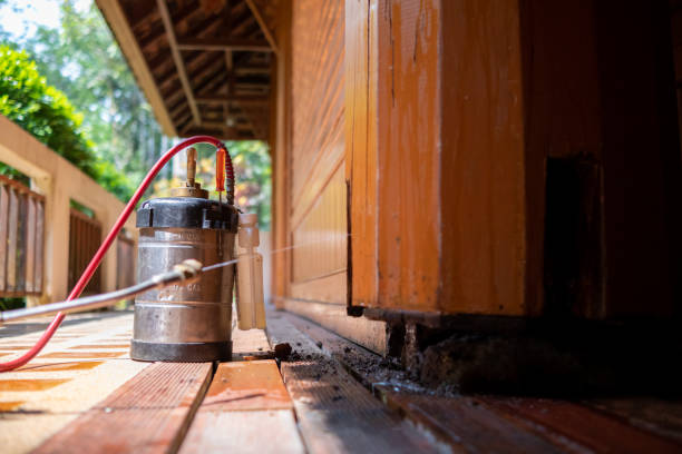 Best Termite Control Services  in Atglen, PA